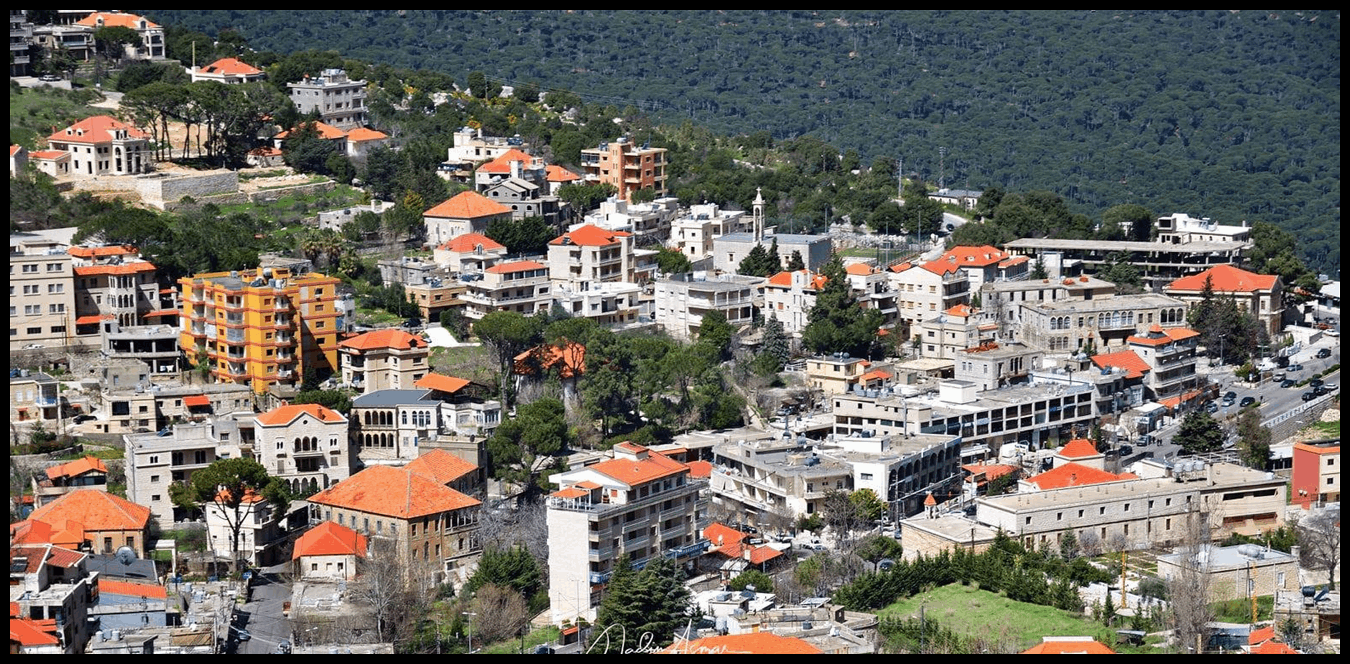 "الصورة القاتمة".. معركة جزين الانتخابية لا تشبه أي معركة 1 Doc P 1441832 638986498765150205