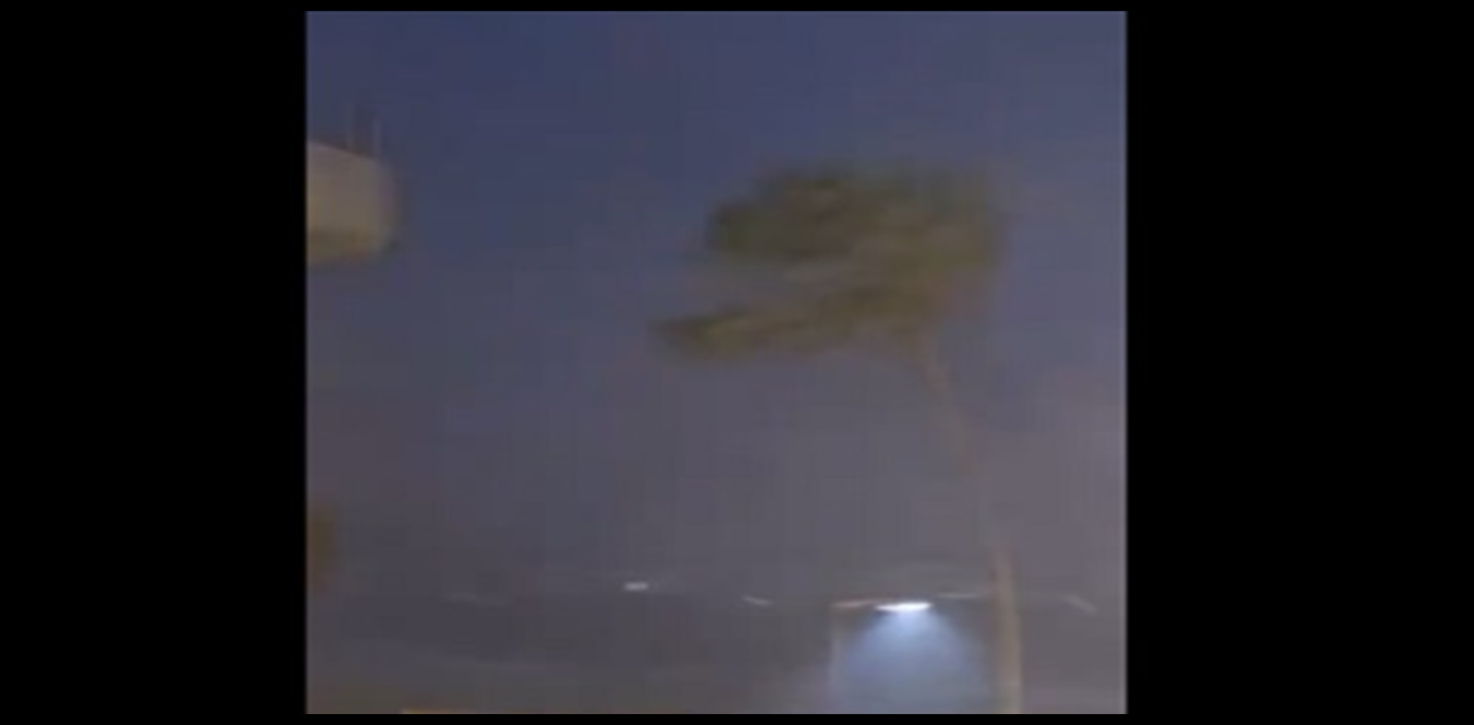 Doc P 1441895 638986579753110048