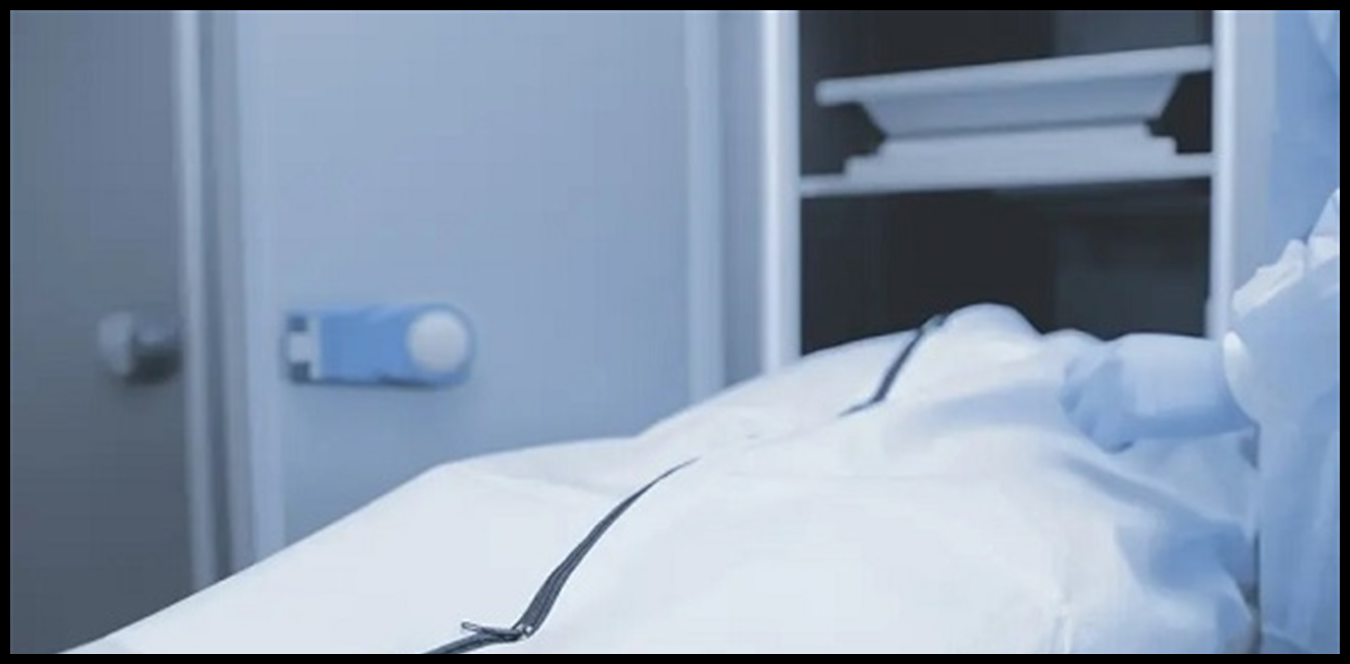 Doc P 1441936 638986669681752253