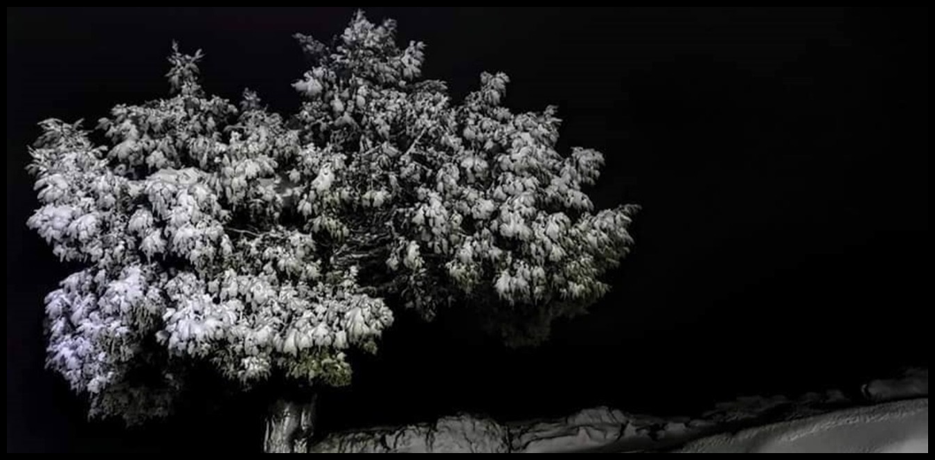 Doc P 1442345 638987607429964635