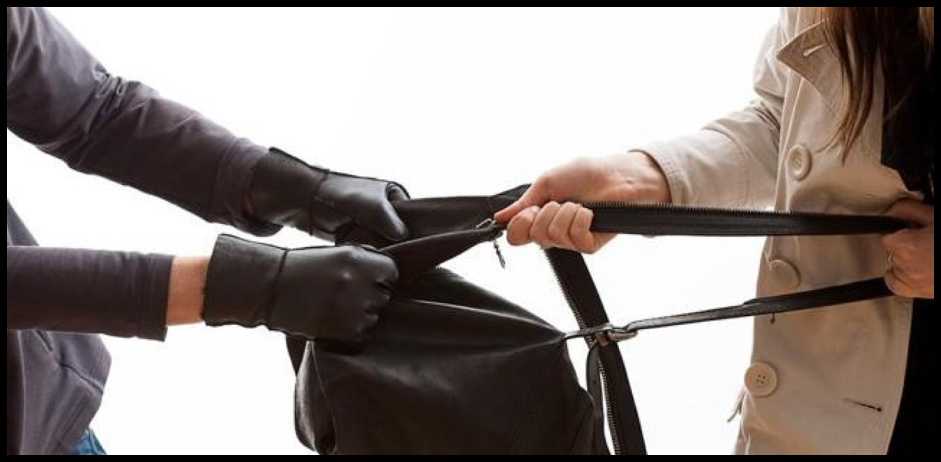 Doc P 1442536 638988081718261072