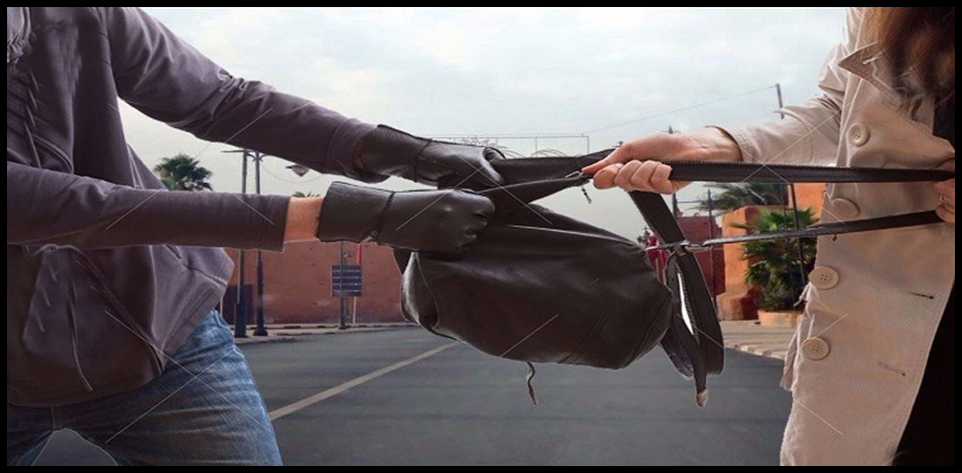 Doc P 1442603 638988262370301130