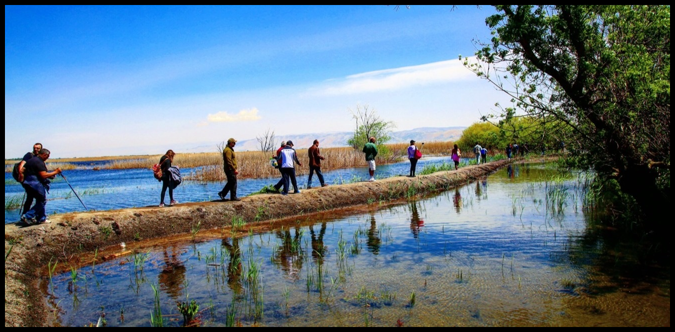 اليوم تحديداً... فلنستعد طاقتنا عبر المشي في الطبيعة 1 Doc P 1443096 638989667642078380
