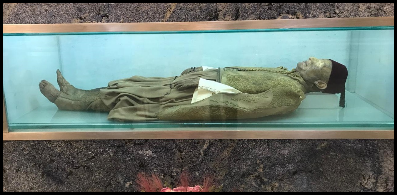 Doc P 1443573 638990576792277248