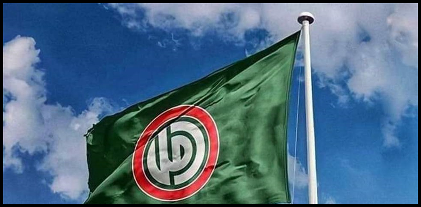 Doc P 1443956 638991446288314538