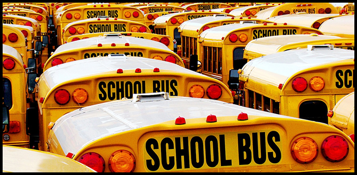 Doc P 1444020 638991511080368790