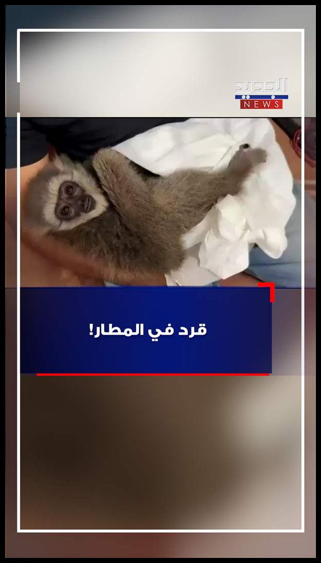 Doc P 548081 638975810845133363