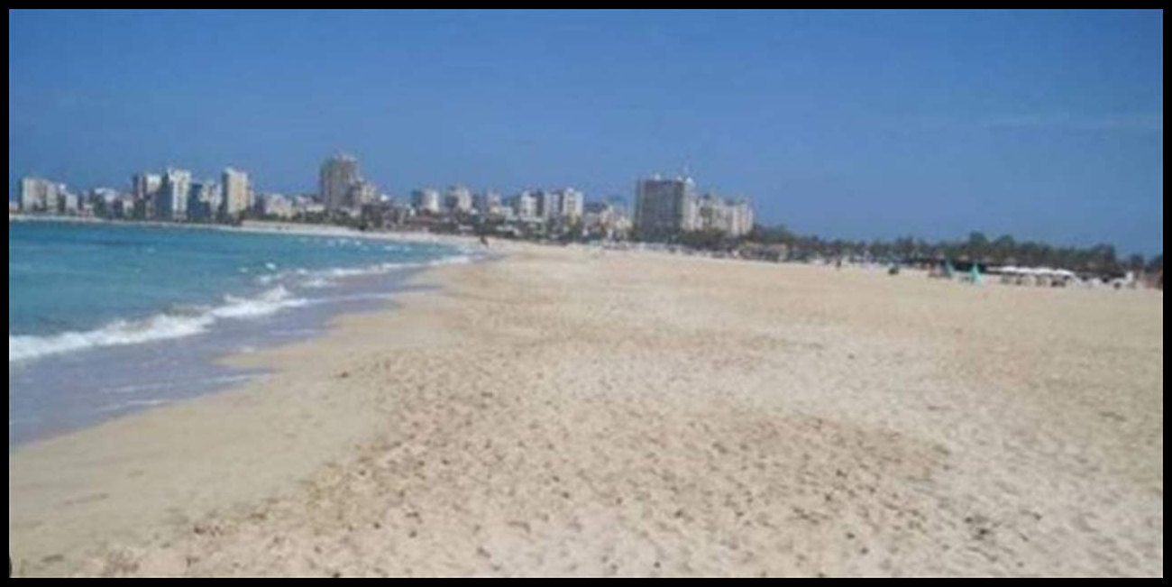 Doc P 548167 638976871726496705