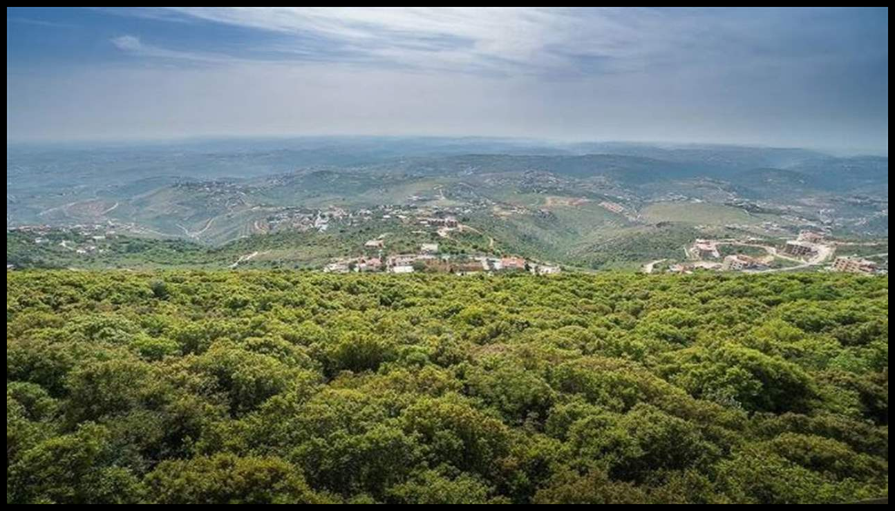 Doc P 548222 638977563369226722