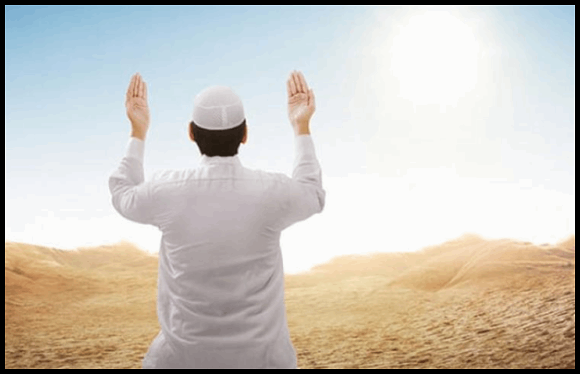 Doc P 548259 638977760972583088