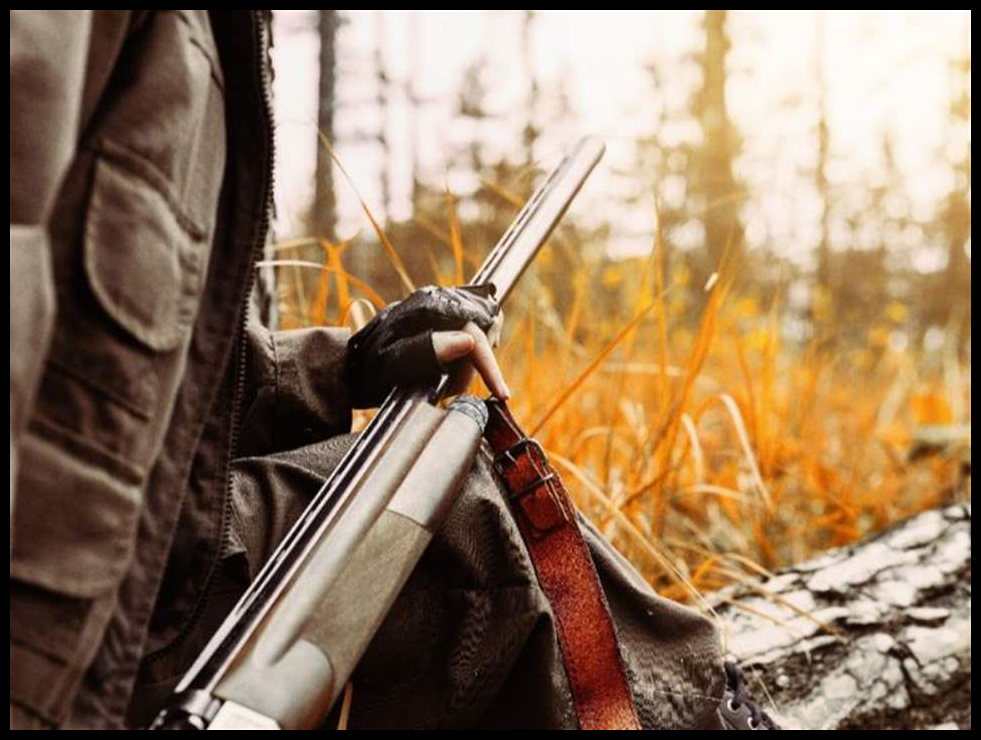 يشأن الصيد البري.. تعميم جديد من محافظ بعبلك الهرمل 1 Doc P 548381 638979300157744948