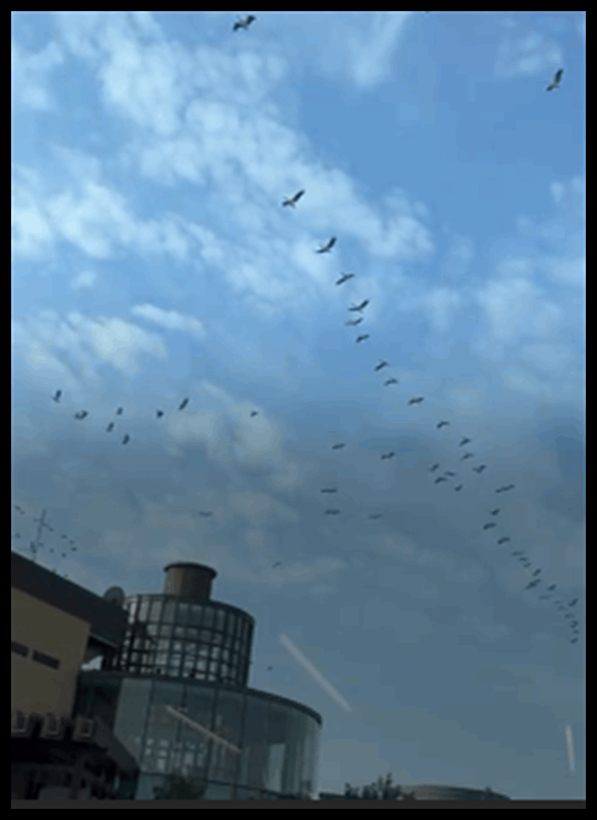 Doc P 548466 638980135721781147