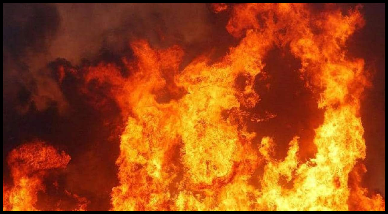 Doc P 548942 638984051631788306