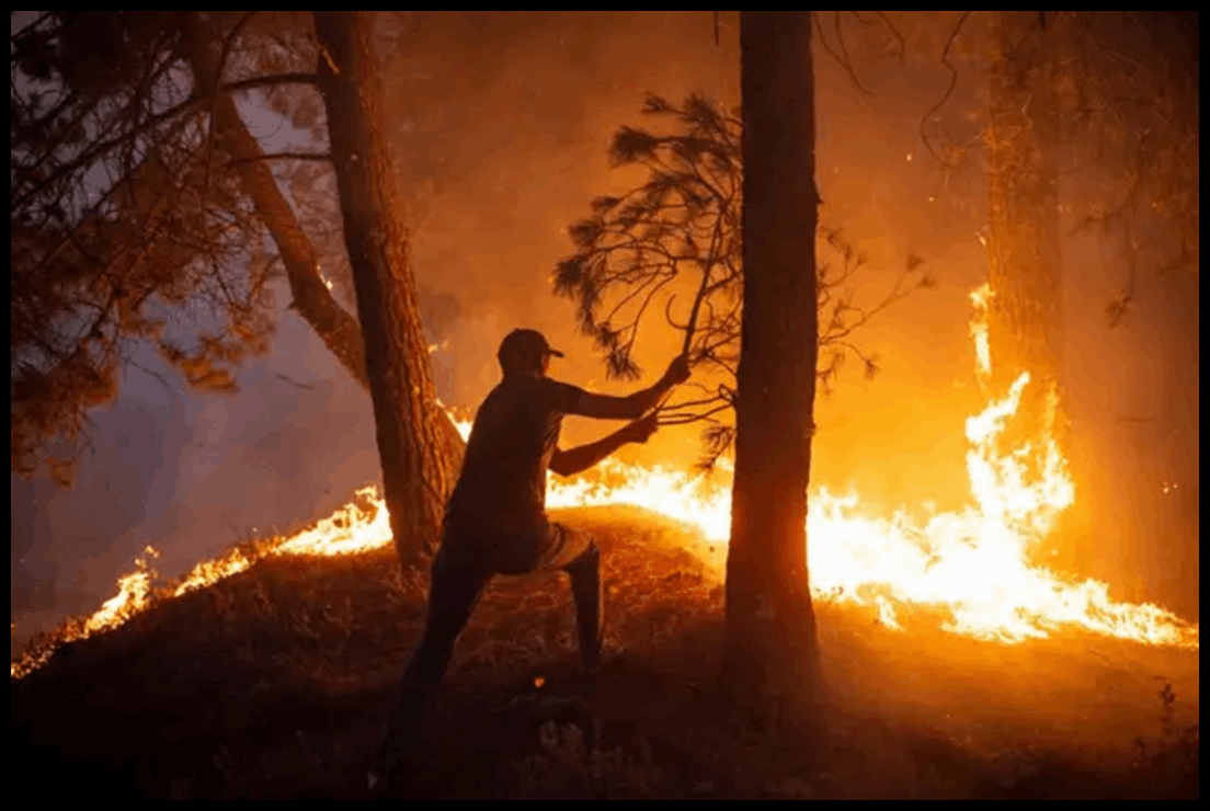 Doc P 548985 638984592996099215