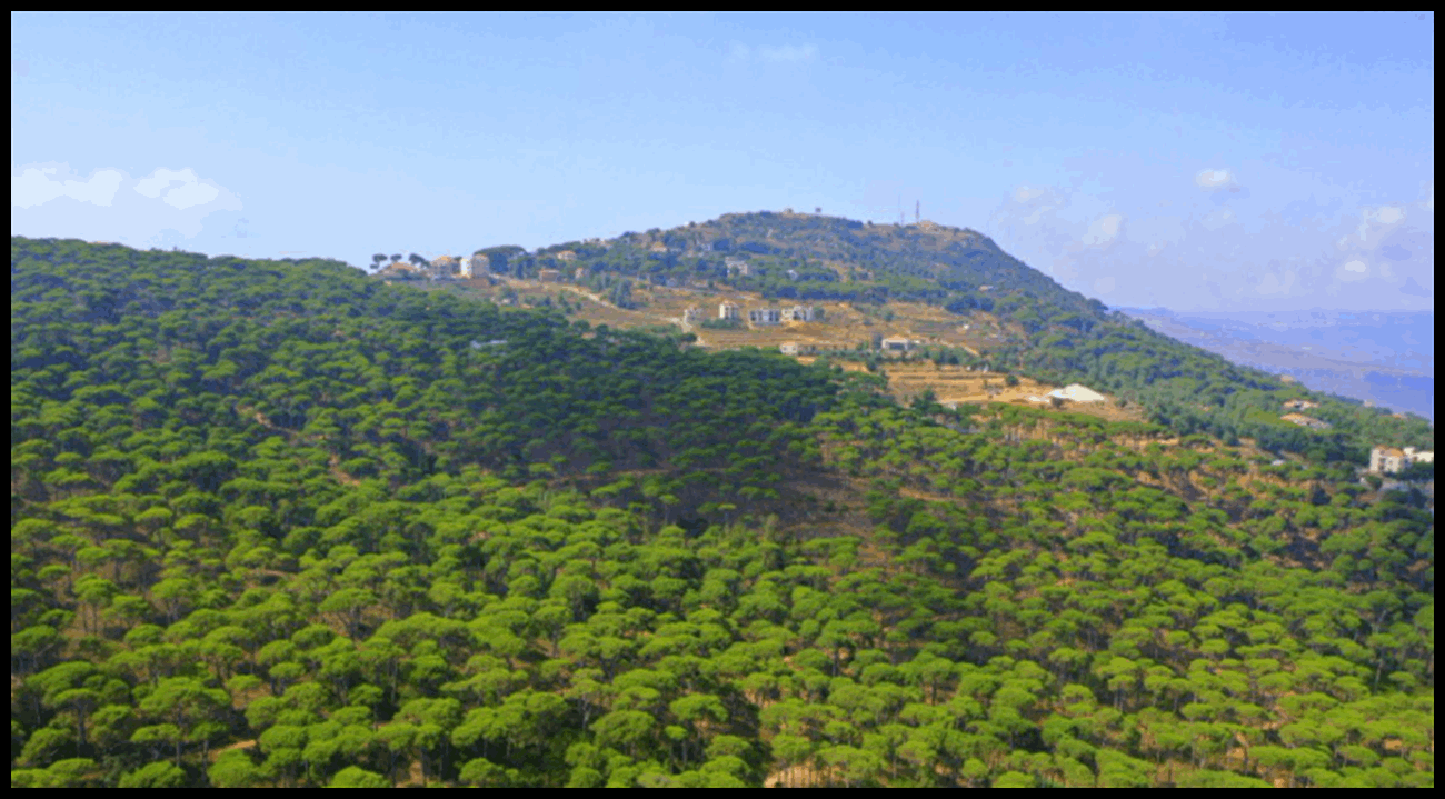 Doc P 549184 638986360949625548