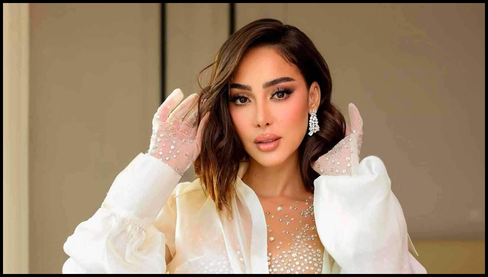 بسمة بوسيل تكشف تفاصيل طلاقها من تامر حسني 1 Doc P 549377 638988108477463119