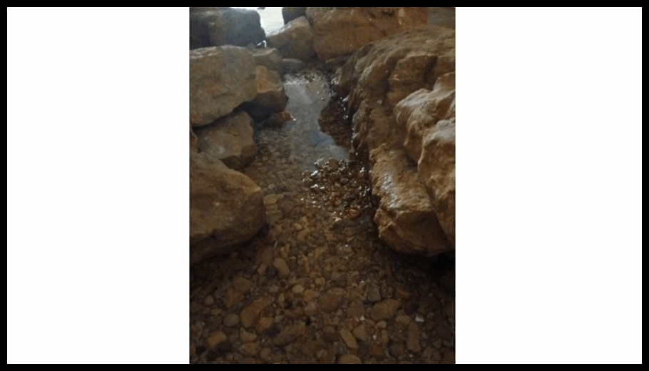 Doc T 888134 638978465172781675