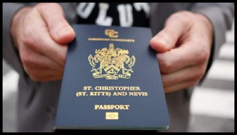 أمن الدولة أوقفت شخصًا بجرم بيع جوازات سفر أجنبية مزوّرة 1 Doc T 888503 638980112833056562