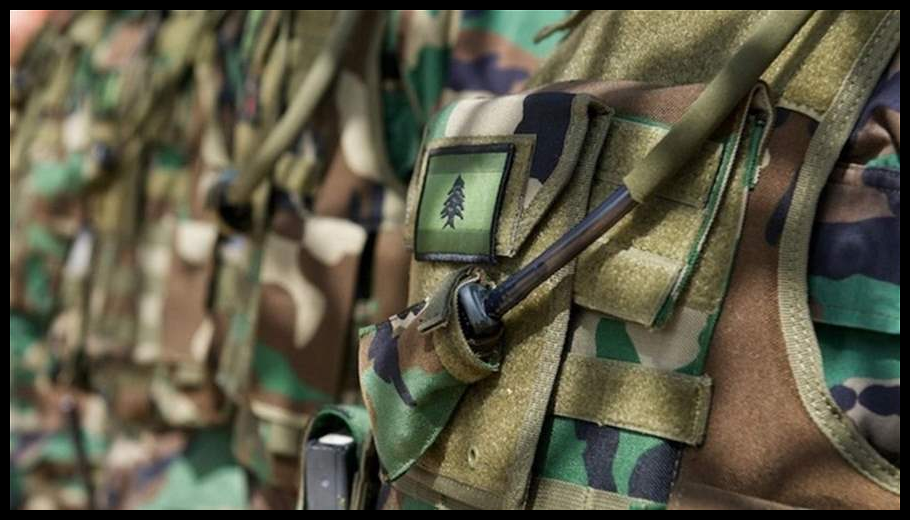 الجيش يلاحق المطلوبين والمخلين بالأمن والمتورطين في جرائم السرقة والتزوير ويوقف اثنين منهم 1 Doc T 888563 638980307999829935