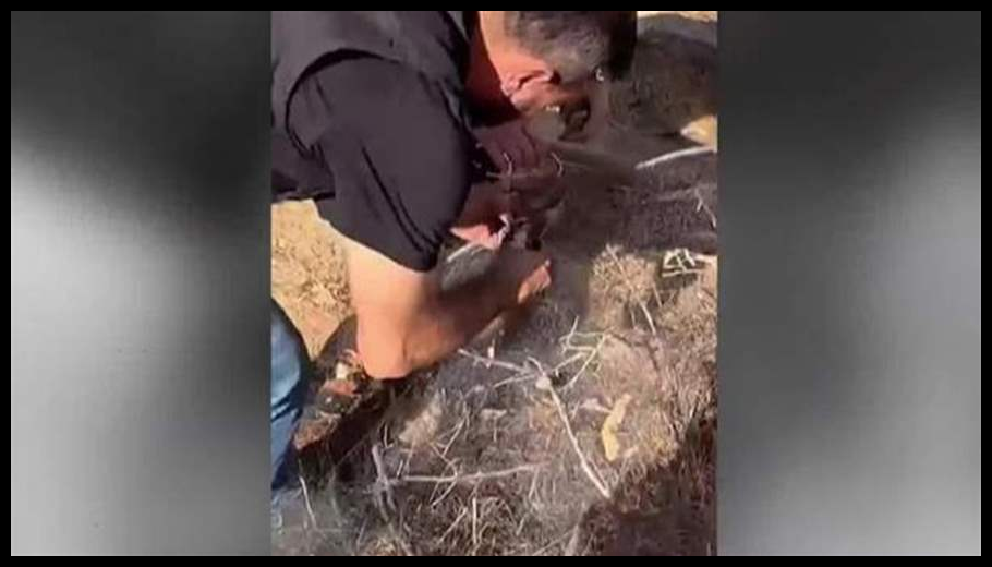 Doc T 889112 638983103292269832