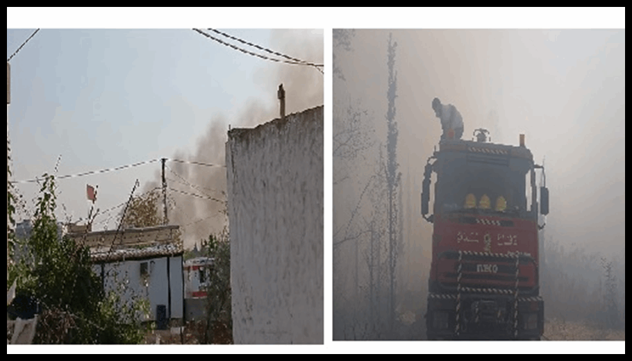 Doc T 889305 638983830110468450