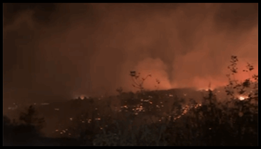 Doc T 889359 638984007327802182