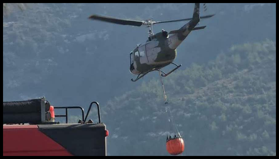 Doc T 889685 638985505151753399