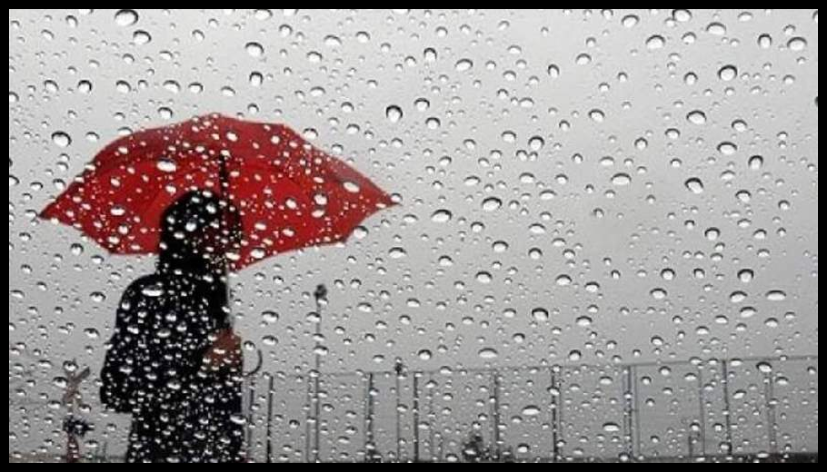 Doc T 889821 638986177899447134