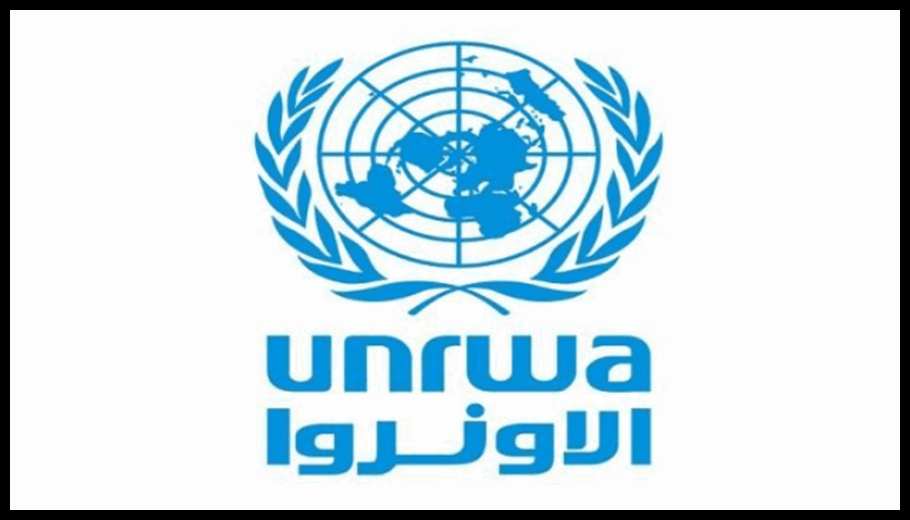 Doc T 889897 638986402273527963