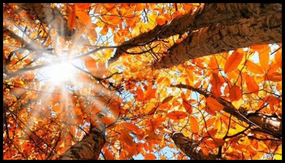 Doc T 890863 638991350060802360