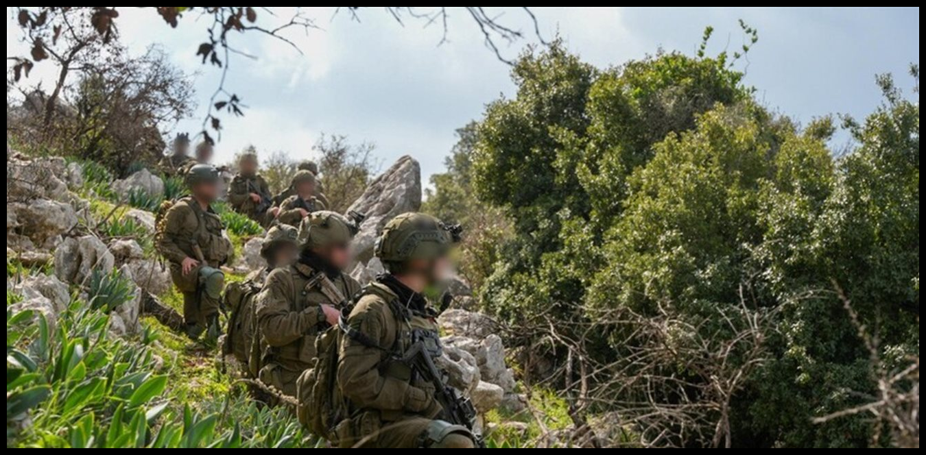 Doc P 1493903 639086669245494203