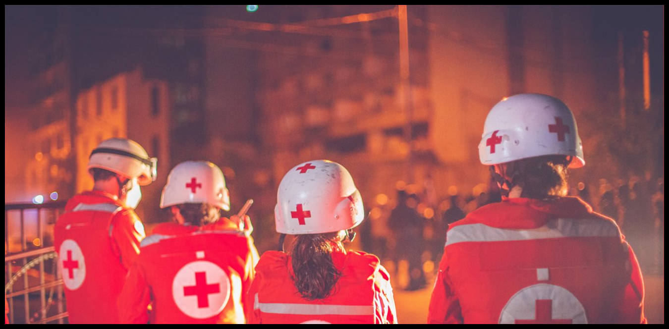 Doc P 1494108 639086866273371582