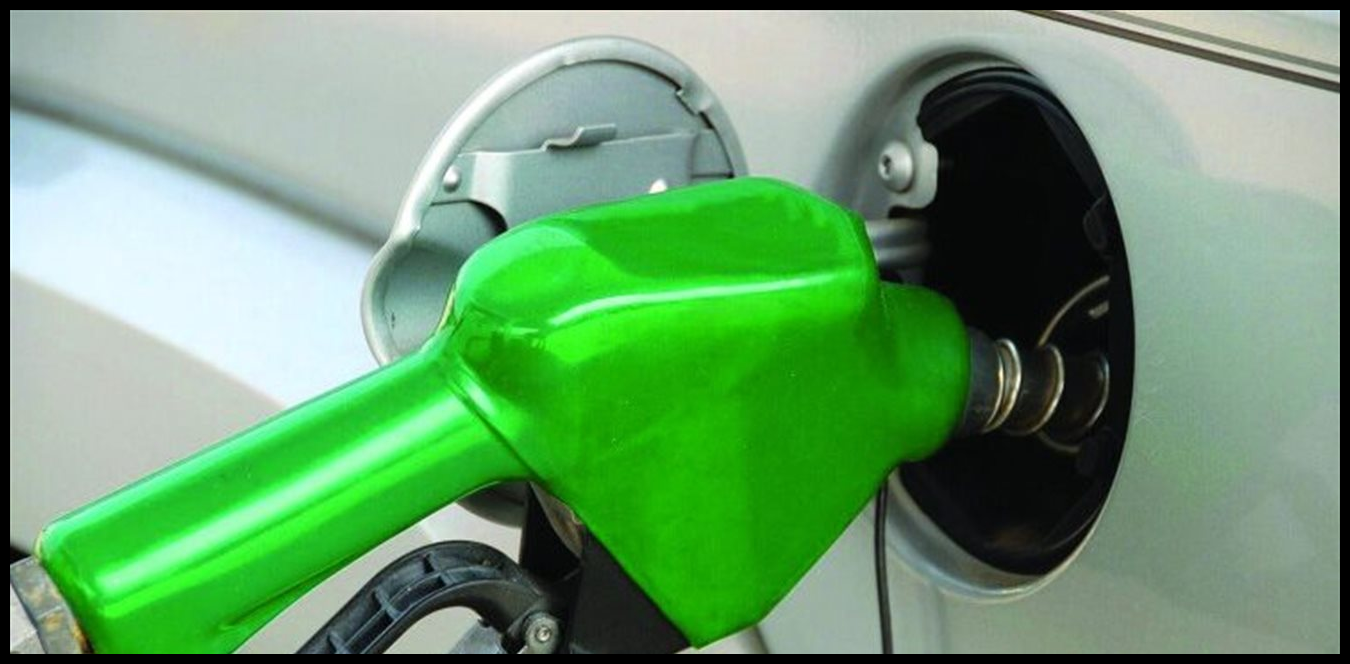 Doc P 1494331 639087306277315458