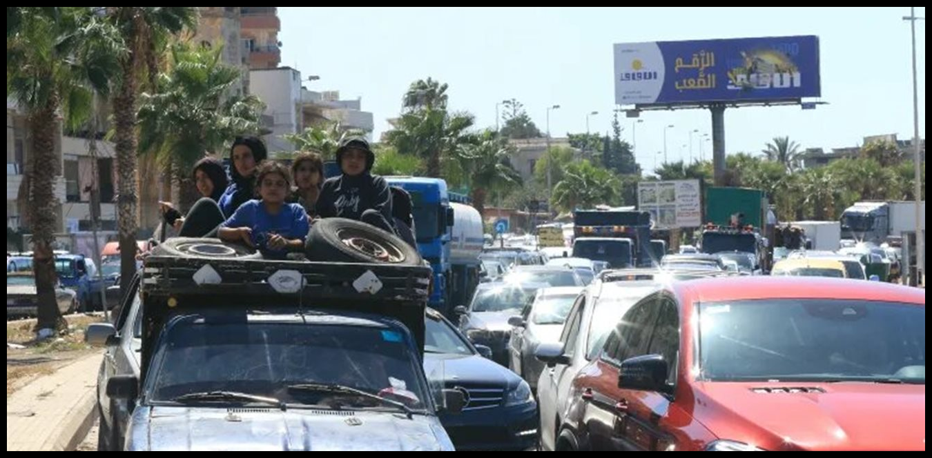 Doc P 1494494 639087450622761659