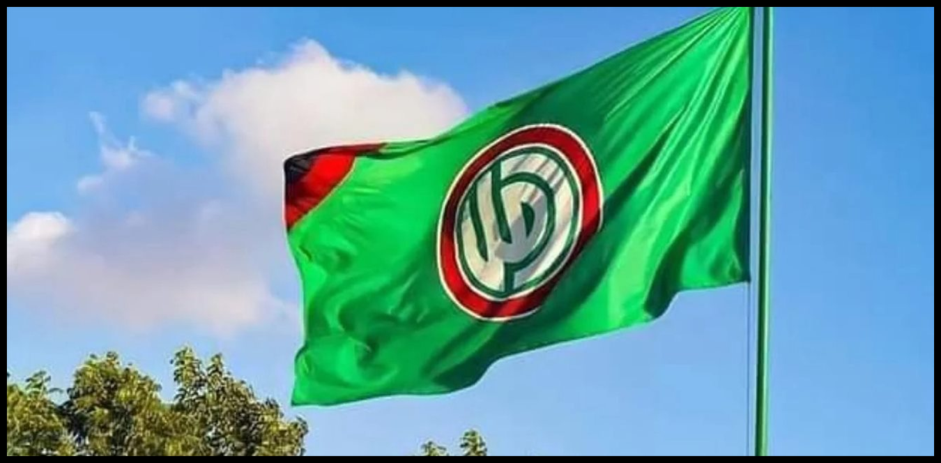 Doc P 1494516 639087474434647605