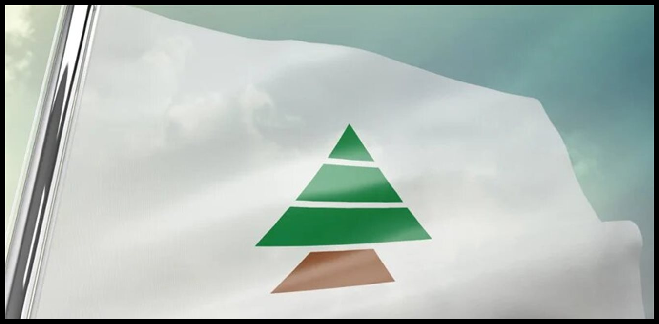 Doc P 1494665 639087617424976292