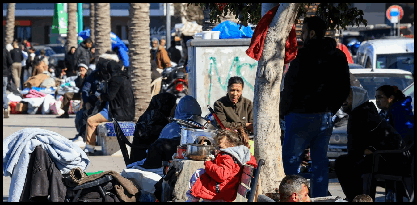 Doc P 1495017 639088194440603227