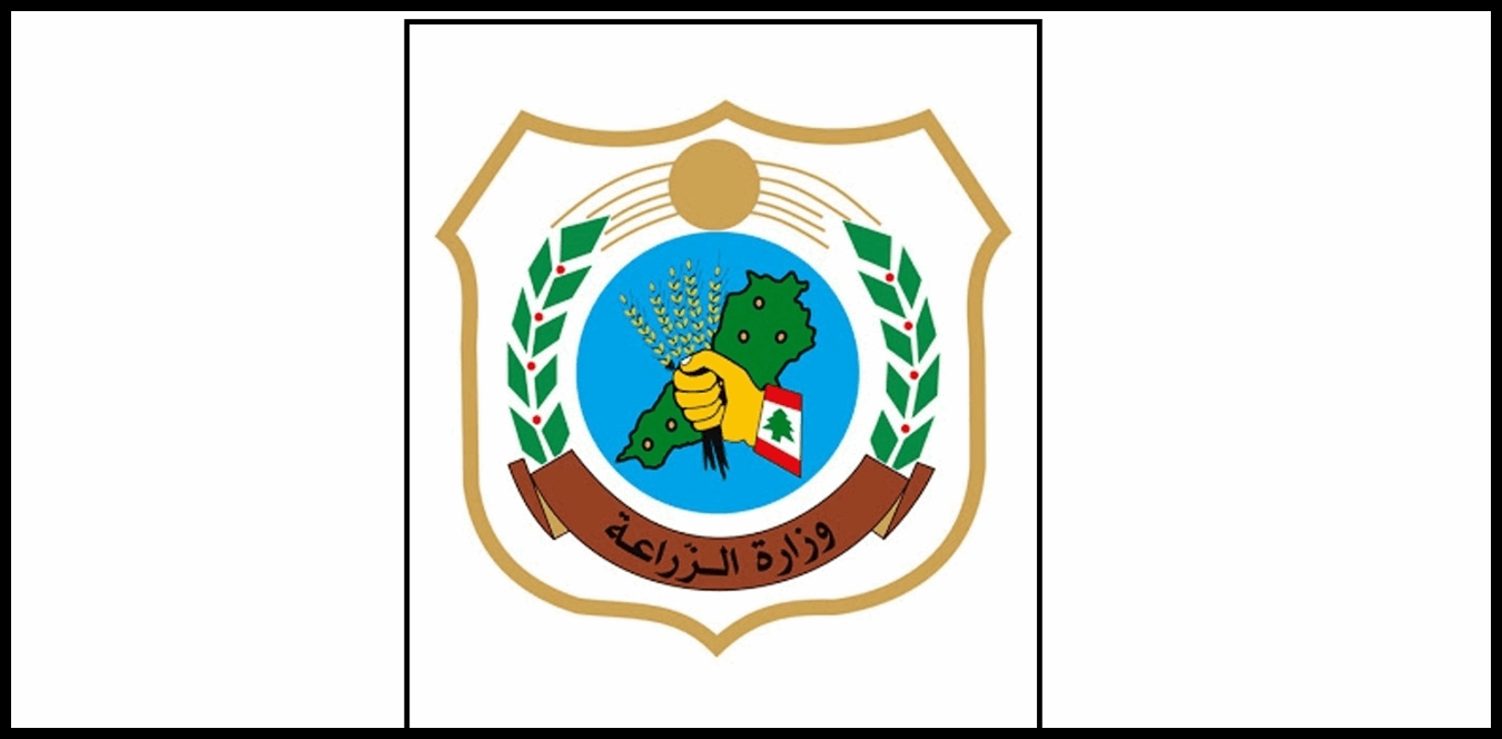 Doc P 1495205 639088353702958728