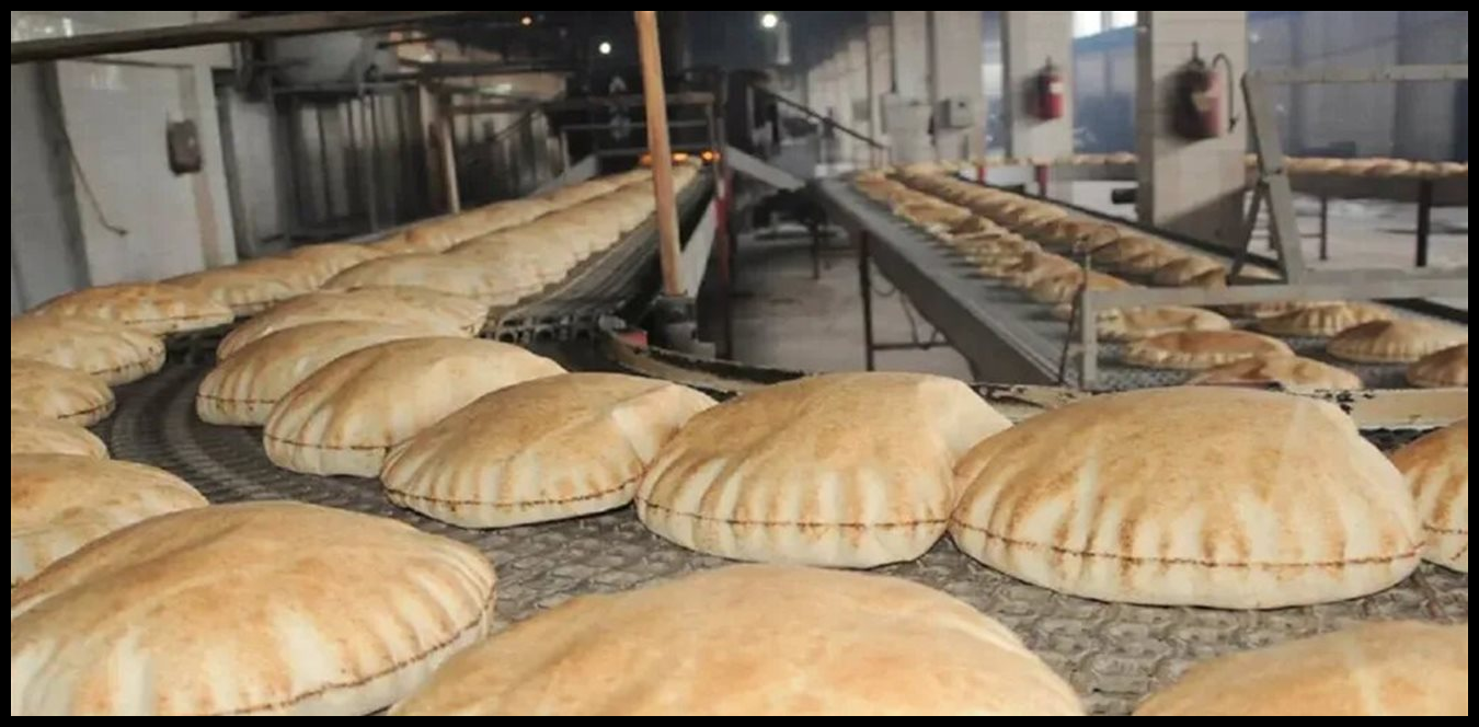 Doc P 1495321 639088477023765384