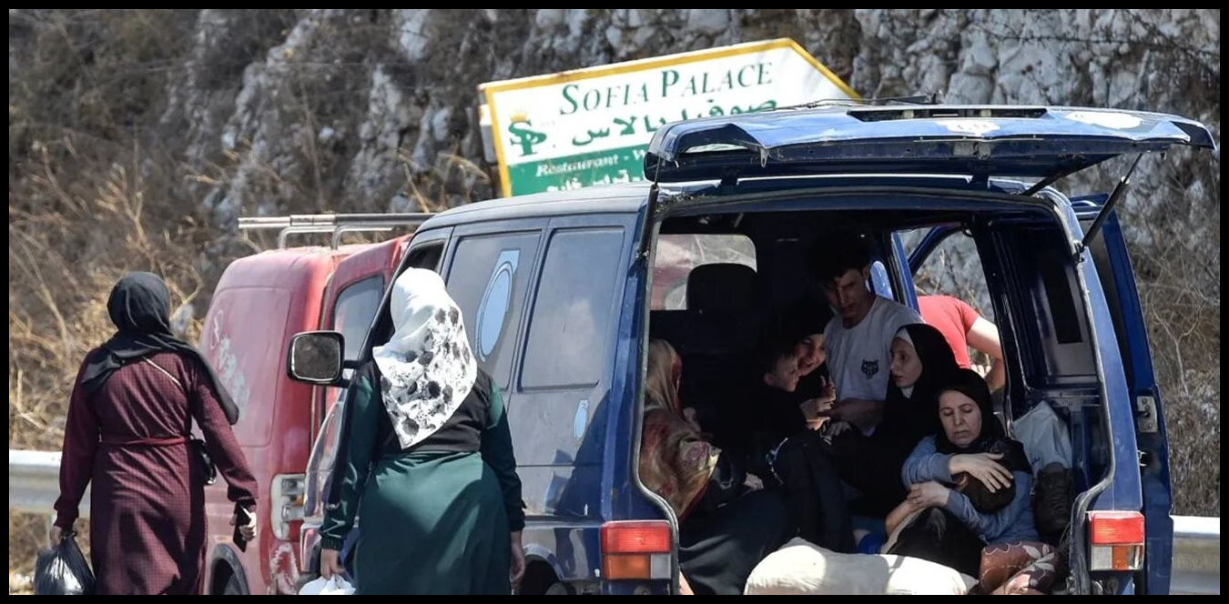 Doc P 1495662 639089027881366331