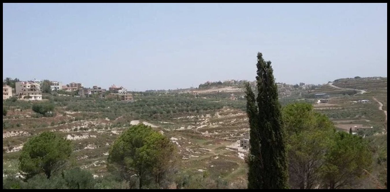 Doc P 1495776 639089117481578409