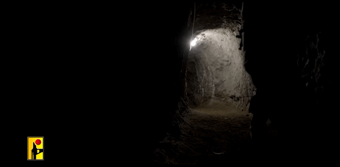 Doc P 1496769 639090647931649534