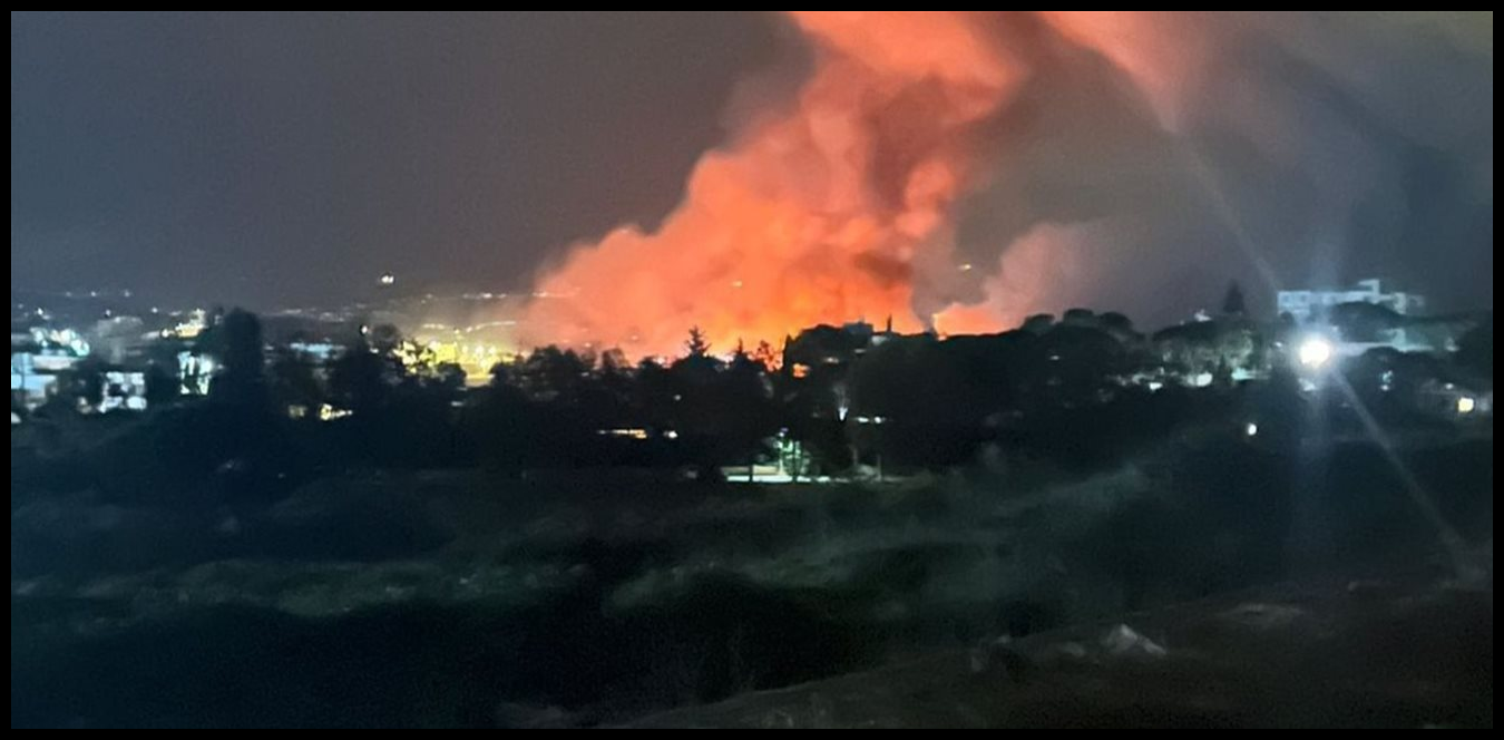 Doc P 1496846 639090759900792797 1