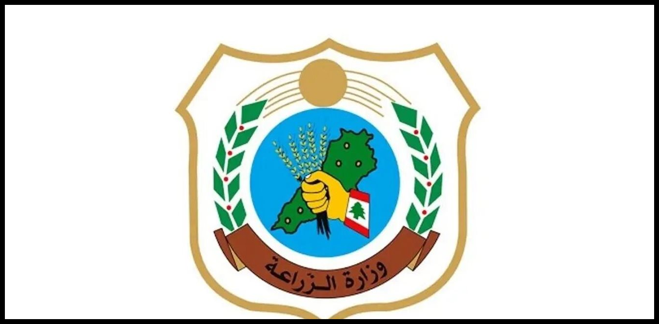 Doc P 1496958 639090891345569479