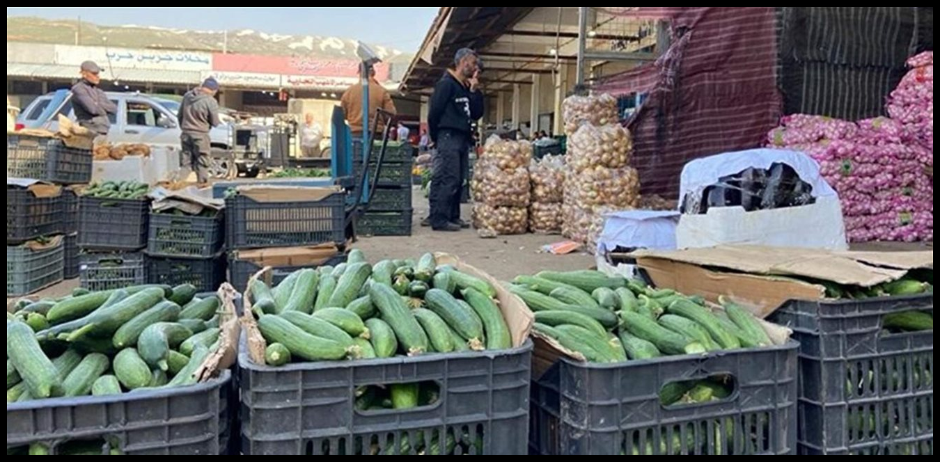 Doc P 1498000 639092723981614455