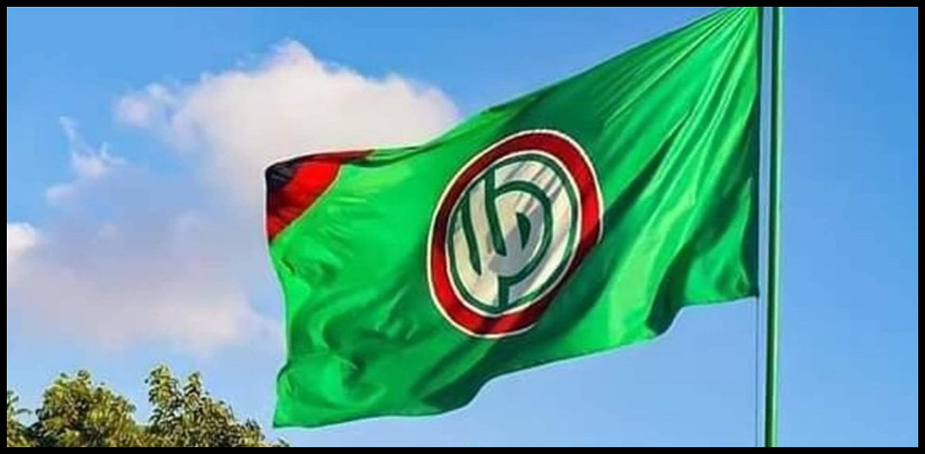 Doc P 1498071 639092818158077219