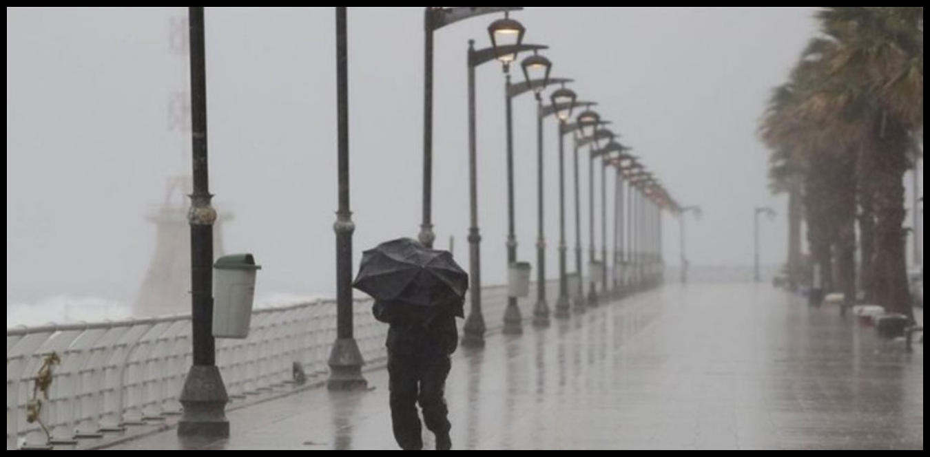 Doc P 1498378 639093374411945717