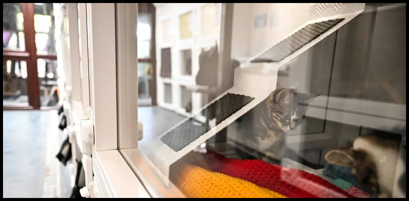 Doc P 1498425 639093409200467189