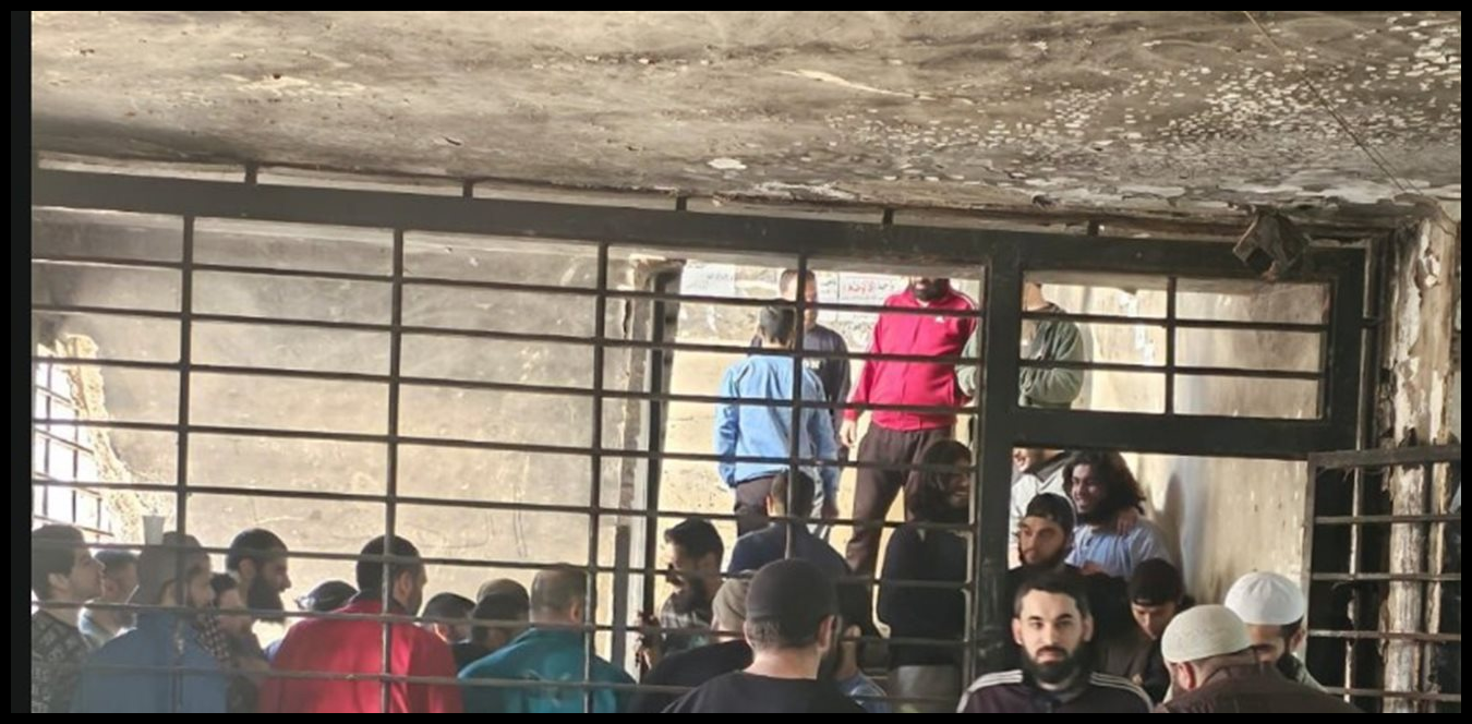 Doc P 1498443 639093424739259171