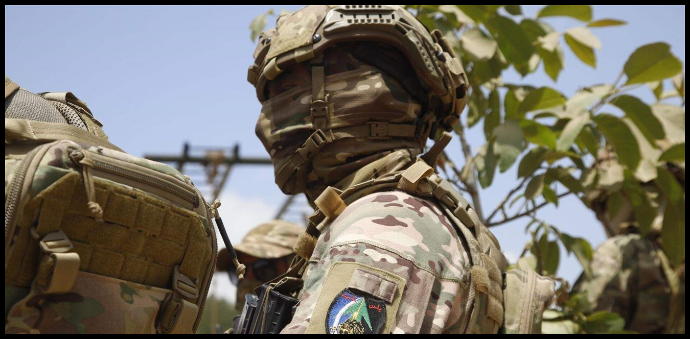 Doc P 1498631 639093559484699271